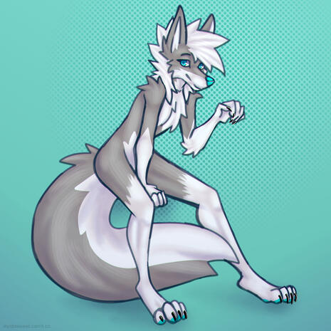 sketch sketch