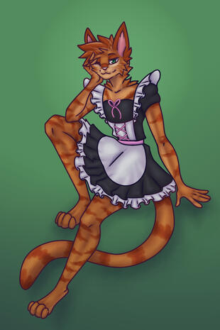 shaded shaded